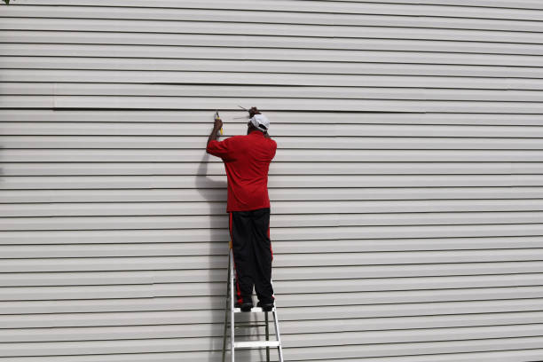 Best Fascia and Soffit Installation  in Bourbon, MO